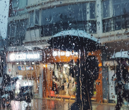 雨中佳豪